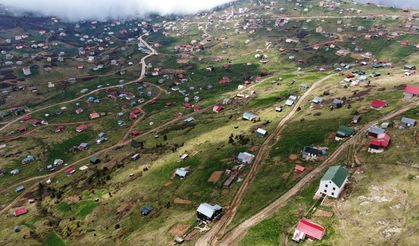 Mersinli Fotoğrafçılar Karadeniz Yaylalarını Fotoğraflayacak