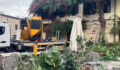 Tarsus'da Şehrin Dört Bir Yanında Budama Çalışmalarını Sürdürüyor