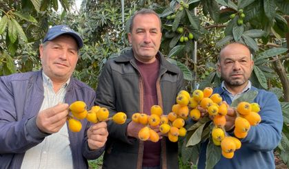 Yenidünya sezonu açıldı: İlk ürünler yurtiçi ve yurtdışına gidiyor