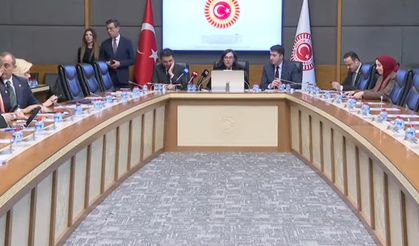 Suça Sürüklenen Çocuklara İlişkin Araştırma Komisyonu Toplandı