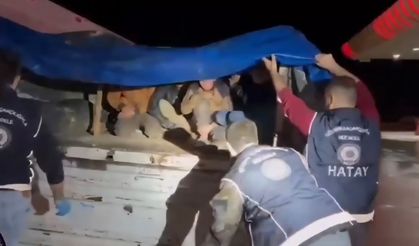Göçmen kaçakçılığı operasyonu: 12 kişi yakalandı, 4 tutuklama