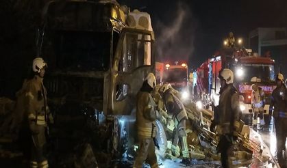 Taşyünü yüklü TIR alev aldı