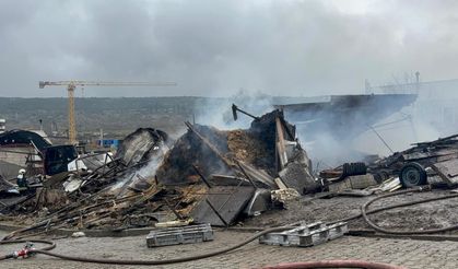 Ahır yangınında çok sayıda hayvan öldü