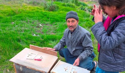 Mersin'de zamansız zirai ilaçlama arıların ölümüne sebep oldu