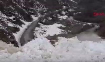 Van'da çığ düştü