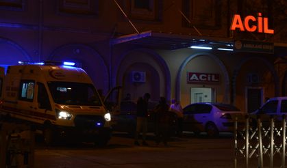 Mardin’de dereye düşen Medine boğuldu