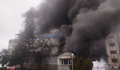 Trabzon'da fındık fabrikasında yangın