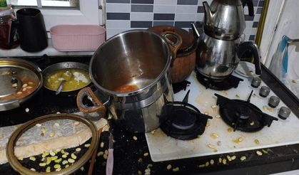 Basınç nedeniyle düdüklü tencere patladı