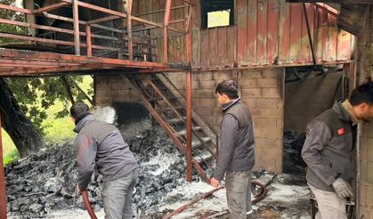 Evde çıkan yangın hasara yol açtı