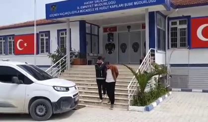Hatay’da kaçak göçmen operasyonu: 8 kişi yakalandı