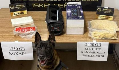 Müzik kutusundaki zehri polis köpeği buldu