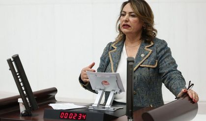 CHP'li Şevkin: "Artan borç nedeniyle ekonomi alarm veriyor"