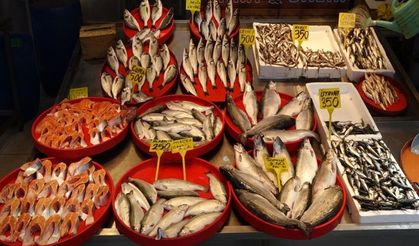 Av yasağının ardından vatandaşlar kültür balıklarına yöneldi