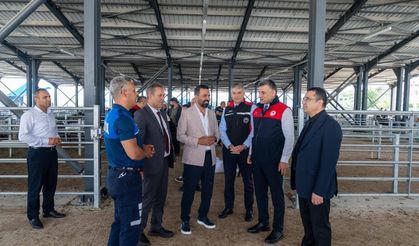Kozan’da Canlı Hayvan Pazarı yerinde incelendi