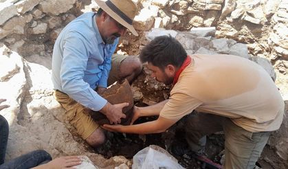 Antik Çağ’da bağcılık ve incir yetiştirmede katı kurallar