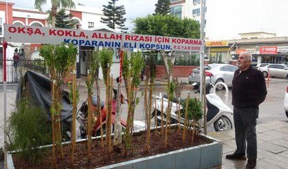Annesinin hatırası için 40 yıldır reyhan yetiştiriyor