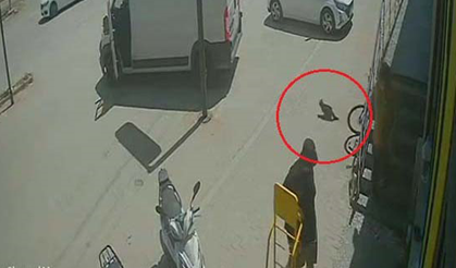Antalya'da yabancı uyruklu şahıs kedinin üzerine bastı, köpeği tekmeledi