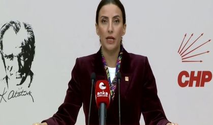 CHP'li Rızvanoğlu: "Ormanlar, gelecek kuşaklar için korunmalı"