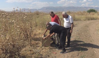 Odunlukta bulunan çöl varanı doğaya bırakıldı