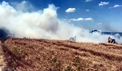Tekirdağ’da 200 dekar buğday ekili alan yangında zarar gördü