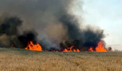 Tekirdağ’da yangında 300 dönüm buğday ekili alan zarar gördü