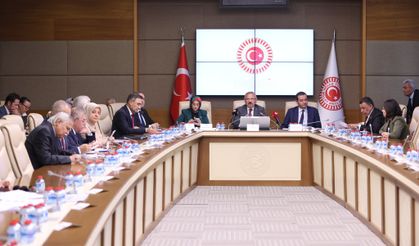 Okul Olaylarını Araştırma Komisyonu'ndaki vekillerden 'bireysel silahların sınırlandırılması' önerisi