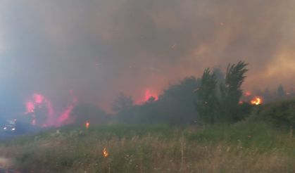 Çanakkale’de otlukta çıkan yangın ormana sıçradı