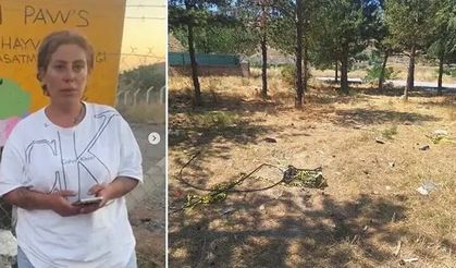 Dernek başkanı hayvansever Mutlu’nun öldürülmesiyle ilgili ağabeyi ve 4 kişi tutuklandı