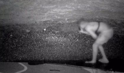 Koruma altındaki fokların yuvasına girdi: Fotokapana yakalandı
