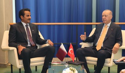 Cumhurbaşkanı Erdoğan ve Al Sani'den enerji gündemi