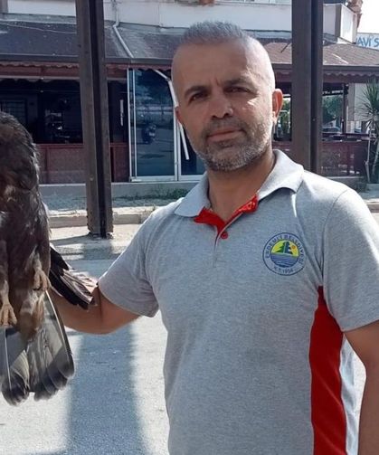 Bitkin haldeki şahin koruma altına alındı