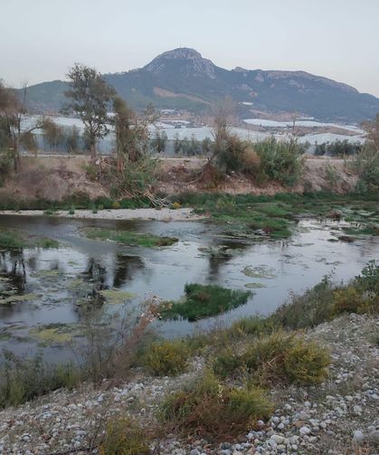 Dragon Çayı Can Çekişiyor: Çevrecilerden Baraj ve HES'lere Sert Tepki