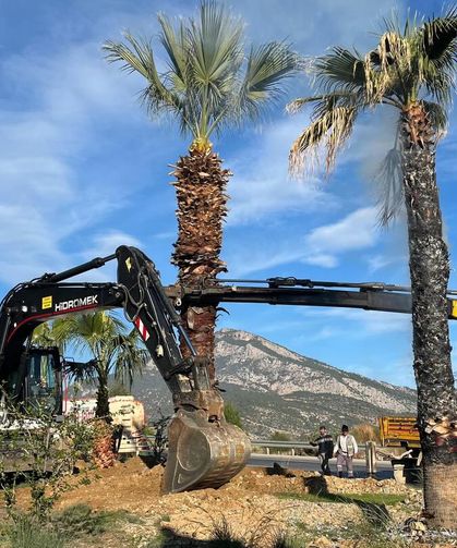 Anamur’da Yeşil Alanlar Yenileniyor