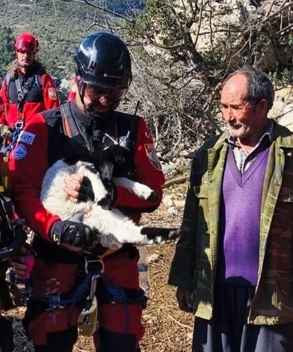 Mersin’de Yürekleri Isıtan Kurtarma: Kuzu Annesine Kavuştu