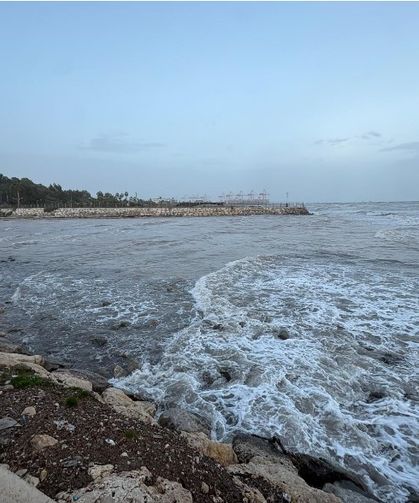 Derelerden Denizi Çamurlu Su Akmaya Devam Ediyor