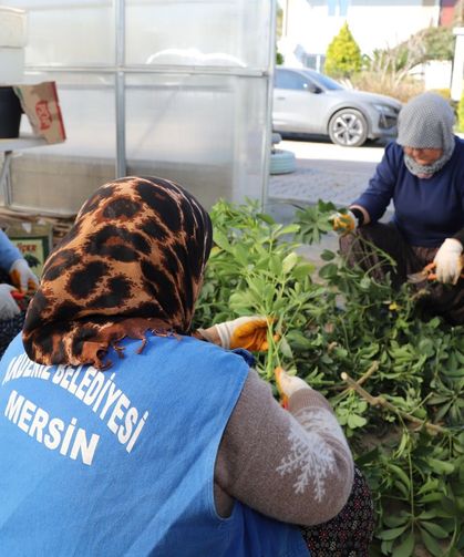 Mersin Akdeniz'de Seralarda Bitki Üretimini Arttırdı