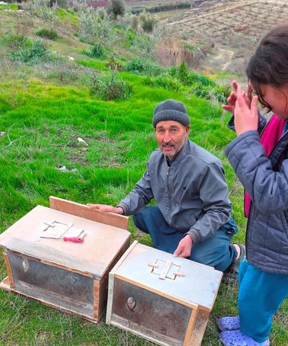 Mersin'de zamansız zirai ilaçlama arıların ölümüne sebep oldu