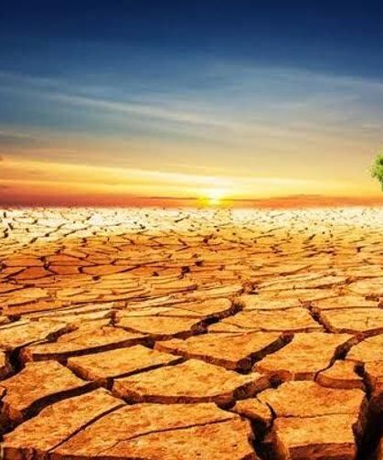 DAÇE ve Mersin Çevre Platformu’ndan acil çağrı