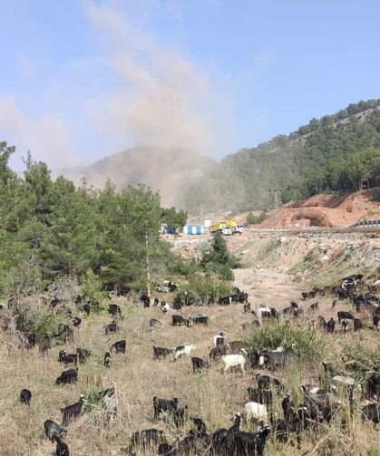 Aydıncık'ta çevreciler kazandı