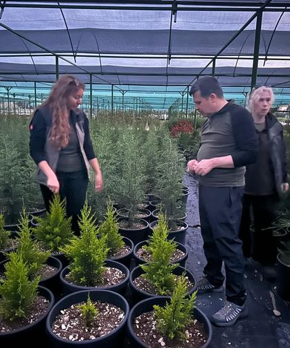 Fidan üretimi Mersin’de mercek altında