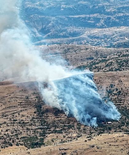 Afyonkarahisar'da orman yangını