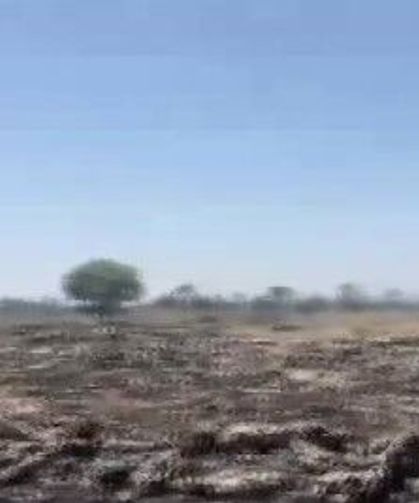 İki ilçede çıkan yangında 270 dönüm alan zarar gördü