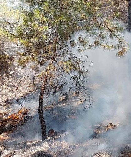 Antalya'da yangın