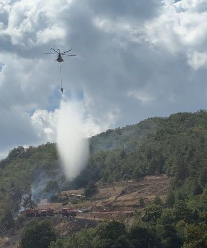 Bursa'da orman yangını