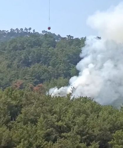 Kozan'da orman yangını başladı