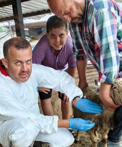 Koyun ve keçi vebasına karşı bağışıklık kalkanı