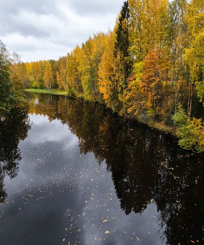 Finlandiya’da sonbahar güzelliği