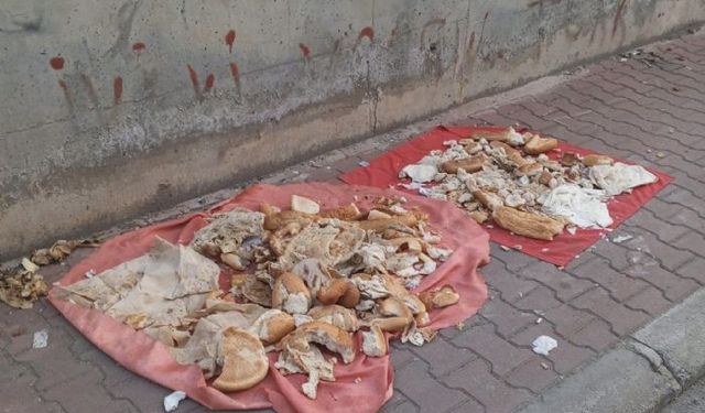 Toroslar'da sokak hayvanları için duyarlı çağrı