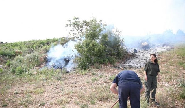 Alanya'da makilik alanda yangın