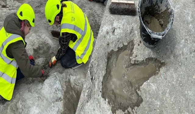 166 milyon yıllık dinozor ayak izleri keşfedildi